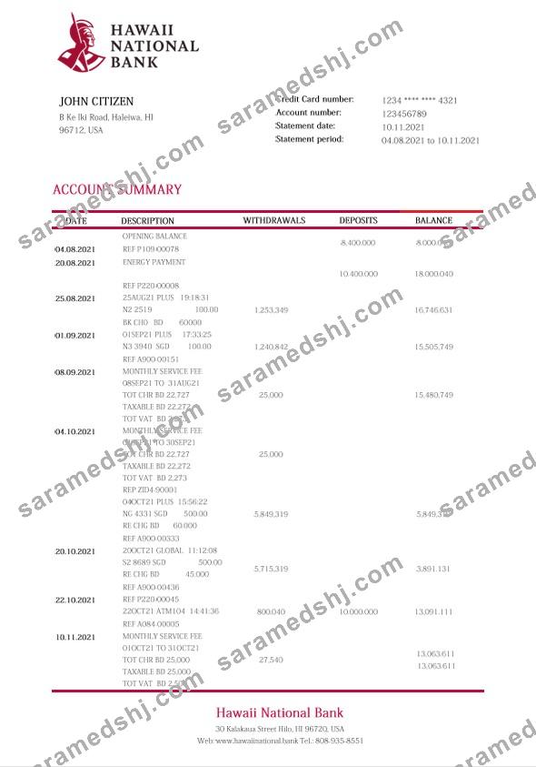 Hawaii Hawaii National Bank statement Word and PDF template